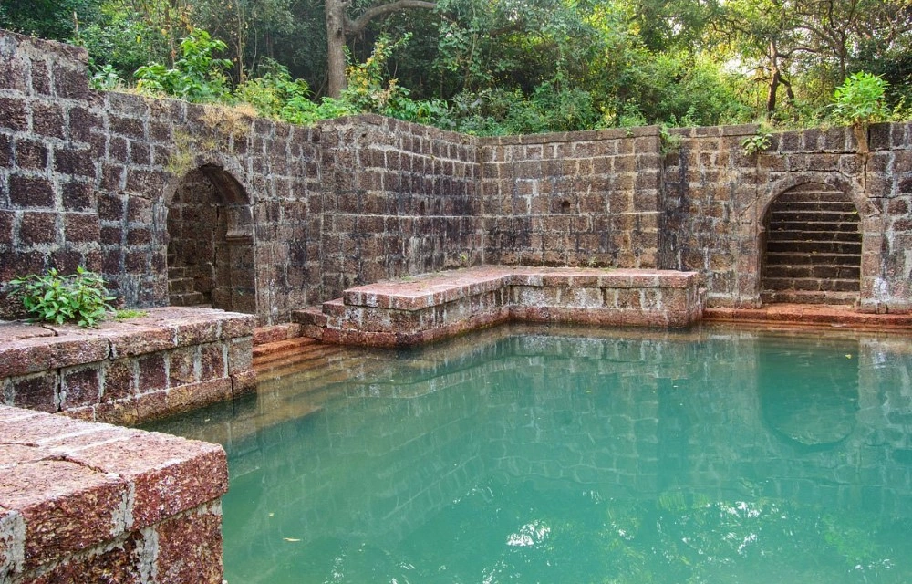 Parkwood Exotica Resort Attraction Pictures