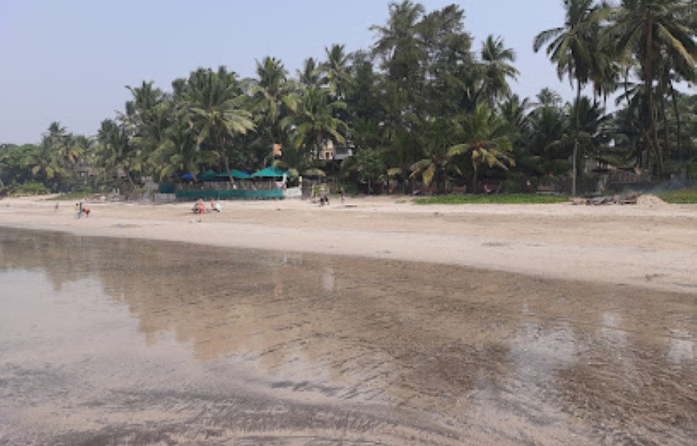 Parkwood Exotica Resort Attraction Pictures